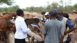 Ouagadougou bagan feere kene