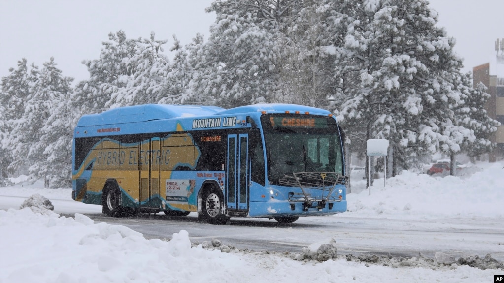 Un autobús de la Autoridad Intergubernamental de Transporte Público del norte de Arizona (NAIPTA por sus siglas en inglés) se dirige entre la nieve al centro de Flagstaff, Arizona, el viernes 29 de noviembre de 2019. (Cody Bashore/Arizona Daily Sun vía AP).