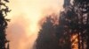 Số người chết trong vụ cháy rừng ở Israel gia tăng