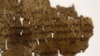 DNA Helps Scholars Understand Dead Sea Scrolls