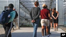 FILE - Suspects are led away to be processed during an immigration sting at Corso's Flower and Garden Center in Castalia, Ohio, June 5, 2018. 