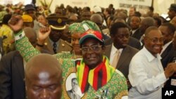 Zanu PF leader President Robert Mugabe 