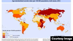 FILE - Suicide rates worldwide in 2012.