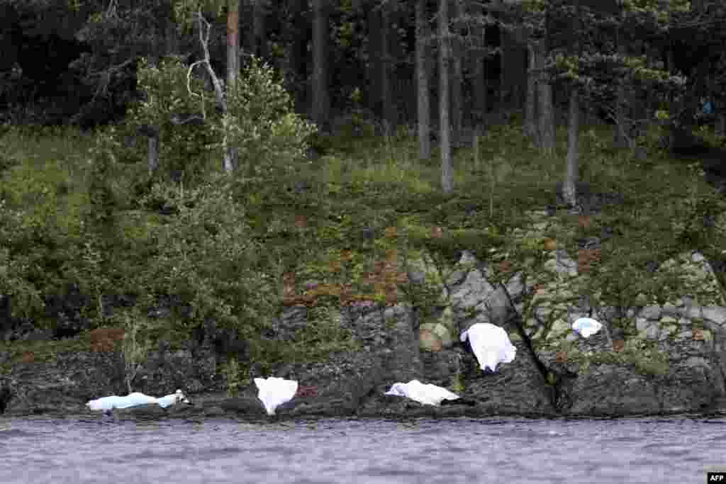 Covered corpses are seen on the shore of the small, wooded island of Utoeya July 23, 2011, after a suspected right-wing Christian gunman in police uniform killed at least 84 people in a ferocious attack on a youth summer camp of Norway's ruling Labour par