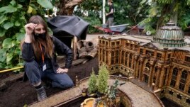 Laura Busse Dolan looks over the newest creation in the Holiday Train Show, a miniature of the LuEsther T. Mertz Library, at the New York Botanical Garden in New York, Nov. 11, 2021.