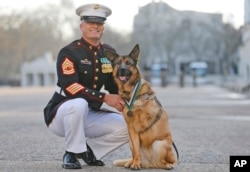 U.S. Gunnery Sergeant Christopher Willingham stands with Lucca, after the German shepherd received the PDSA Dickin Medal, awarded for animal bravery, in London, April 5, 2016.