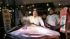 Lelang Ikan Tuna Sirip Biru di Tokyo Capai Rekor, Rp.8,2 Miliar 