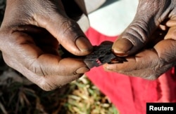 FILE - А traditional surgeon is seen holding razor blades used to carry out female circumcision, also known as female genital mutilation.