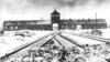 Auschwitz Toplama Kampı