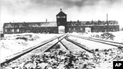 Auschwitz Toplama Kampı