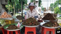 Selling insects as snacks in Cambodia