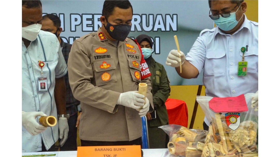 Polisi menunjukkan barang bukti berupa pipa rokok, ornamen pakaian adat dan barang koleksi dari gading gajah, di Lhokseumawe, Provinsi Aceh, 19 Agustus 2021. (AFP)