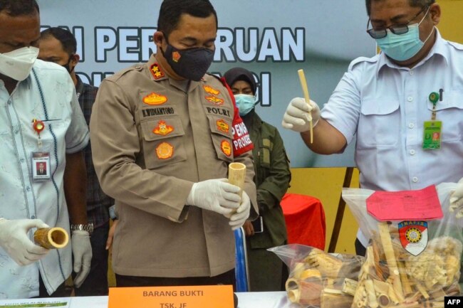 Polisi menunjukkan barang bukti berupa pipa rokok, ornamen pakaian adat dan barang koleksi dari gading gajah, di Lhokseumawe, Provinsi Aceh, 19 Agustus 2021. (AFP)