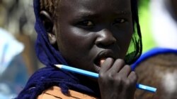 Sudan Blue Nile Violence Kills 70, Displaces Thousands [3:05]