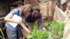 Innovative Kenyan City Farmers ‘an Example to the World’