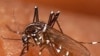 EUA ajudam Angola no combate á malária