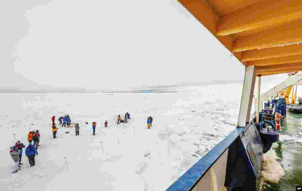 Para penumpang berdiri di es yang mengelilingi kapal Rusia MV Akademik Shokalskiy, yang terperangkap di es tebal hampir sepekan lamanya di Antartika Timur (27/12). (AP/Australasian Antarctic Expedition/Footloose Fotography, Andrew Peacock)&nbsp;