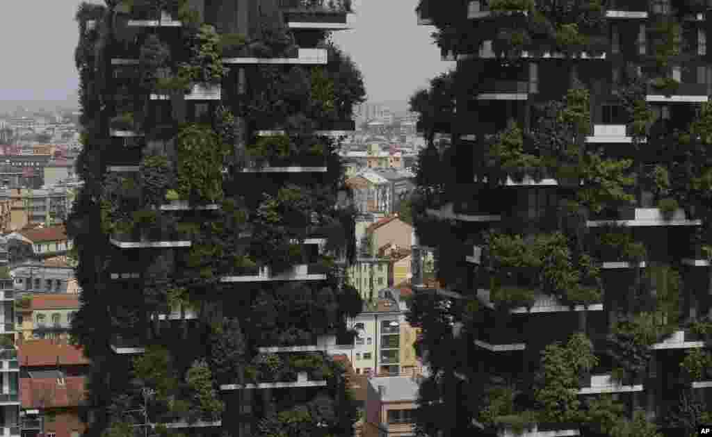 The twin towers of the &#39;Bosco Verticale&#39; (Vertical Forest) residential buildings are at the Porta Nuova district, frame a view of Milan, Italy. Designed by the Boeri studio, it was named &ldquo;2015 Best Tall Building Worldwide&rdquo; by the Council on Tall Buildings and Urban Habitat.