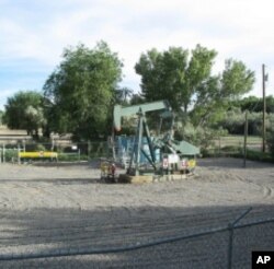 There are no horses or cows around this pumpjack, either. It looks like it's in the yard behind an industrial building.