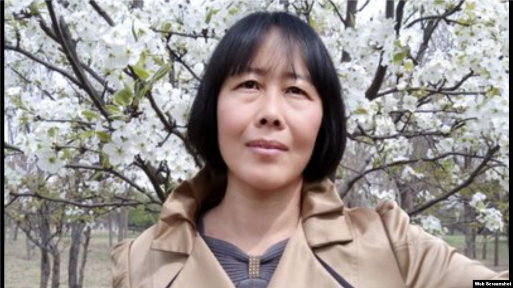 公民记者、维权人士丁灵杰。 (网络截图自民生观察网)