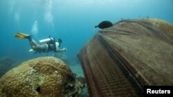 Seorang penyelam berenang melewati jaring ikan yang terbengkalai menutupi terumbu karang di dalamnya sebagai ilustrasi. Pihak berwenang Malaysia telah menyelamatkan seorang perempuan Norwegia. (Foto: Reuters)