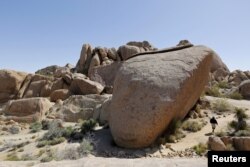A hiker makes his way around a rock formation in Joshua Tree National Park, California, April 16, 2015. It’s easy to get lost in the park, which covers more than 1,200 square miles (3,100 square kilometers) of desert, 130 miles (209 kilometers) east of Lo