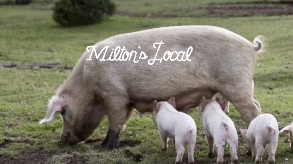 American Company Helps Small Farmers Make Money