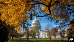 FILE - The U.S. Capitol is framed by colorful autumn leaves in Washington, D.C., November 8, 2018. (AP Photo/J. Scott Applewhite)