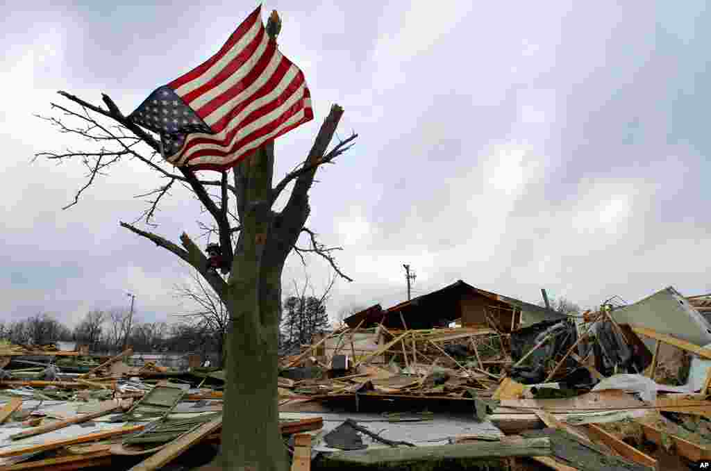 An American flag flies from what is left of the tree in front of a destroyed senior center in Harrisburg, Illinois. (AP)