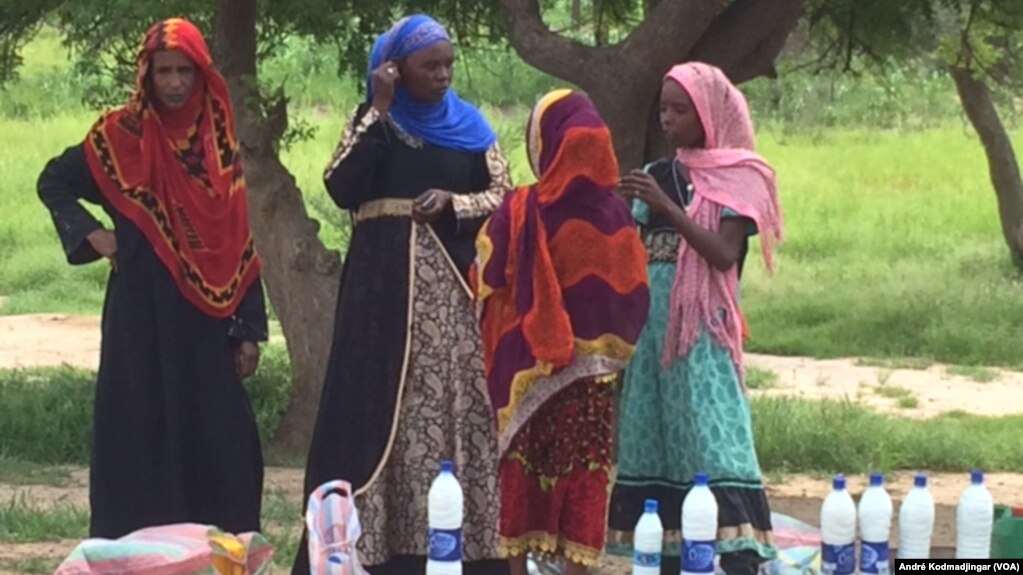 Les éleveurs nomades au bord de la grande voie bitumée en train de vendre le lait caillé, à N'Djamena, le 2 septembre 2017. (VOA/André Kodmadjingar)