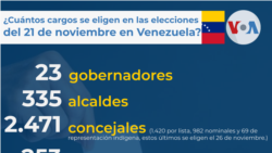 ¿Cuántos cargos se elien en las elecciones del 21 de noviembre en Venezuela?