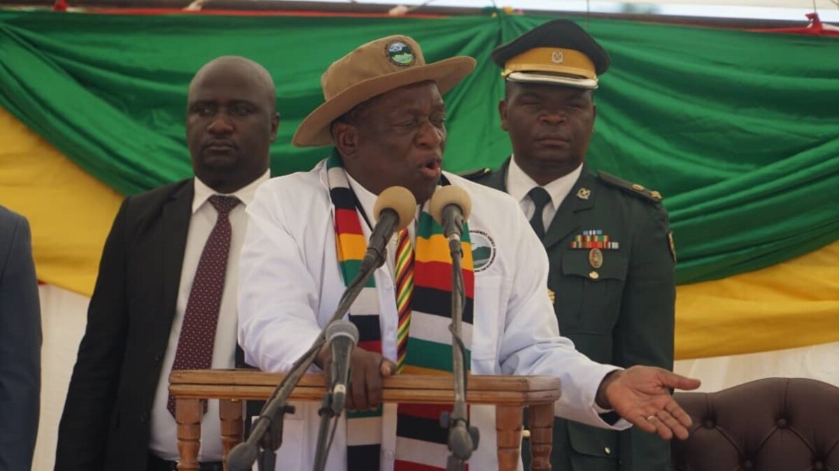 Zimbabwe's POLAD Activists To Spend US$4,5 Million Campaigning For ...