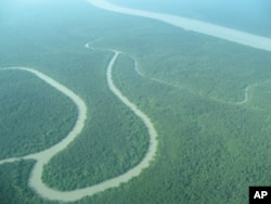 A mangrove landscape on the Ganges River Delta, Bangladesh. Mangroves are being rapidly deforested globally.