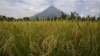 Philippines Raises Volcano Alert, Warns of Hazardous Eruptions