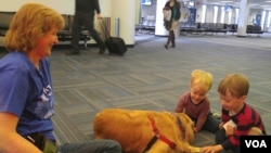 Dua orang anak kecil bermain dengan seekor anjing terapi di bandara Dulles, di pinggiran Washington DC.
