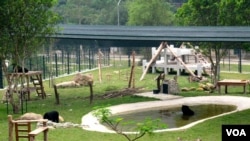 One of two new enclosures at a bear sanctuary in Tam Dao national park. (Marianne Brown for VOA)