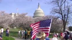 Tens of Thousands Rally for Immigration Reform