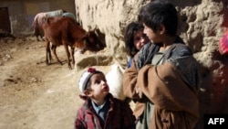 Британские военные обвиняются в издевательстве над афганскими детьми