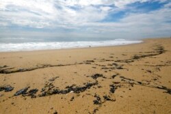 Oil washes up on a beach in Newport Beach, Calif., Oct. 4, 2021.