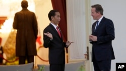 Britain's Prime Minister David Cameron, right, talks with Indonesian President Joko Widodo at the presidential palace in Jakarta, Indonesia, July 27, 2015.
