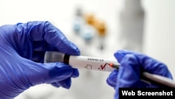 Koronavirus