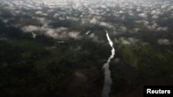 An aerial view of Garamba forest in Haute Uele region of northeastern Congo. (file photo)
