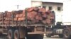 Dezenas de camiões com madeira retidos em Malanje