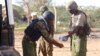 L'armée kényane libère une institutrice retenue par les Shebab en Somalie