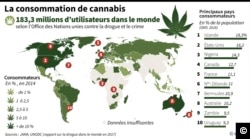 Carte du monde avec les principaux pays consommateurs de cannabis