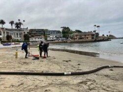 Divers, who are part of a team removing algae, get ready to enter the harbor to help suction and filter out algae in Newport Beach, Calif., Wednesday, July 7, 2021. (AP Photo/Amy Taxin)