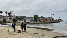 Divers, who are part of a team removing algae, get ready to enter the harbor to help suction and filter out algae in Newport Beach, Calif., Wednesday, July 7, 2021. (AP Photo/Amy Taxin)