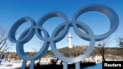 韩国平昌为迎接冬奥会竖起的奥运五环 （2018年1月23日）
