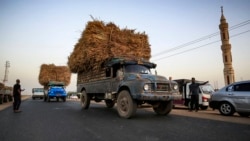 Seorang sukarelawan memberi isyarat di sisi jalan raya Negara Bagian Jazeera, mengundang pengemudi dan penumpang untuk ikut berbuka puasa bersama, di desa al-Nuba, sekitar 50 kilometer selatan ibu kota Sudan, 22 April 2021. (AFP)