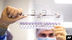 Seorang teknisi sedang memeriksa botol-botol kecil yang berisi vaksin COVID-19 buatan Pfizer-BioNTech di kantor perusahaan tersebut di Puurs, Belgia, pada Maret 2021. (Foto: Pfizer via AP)